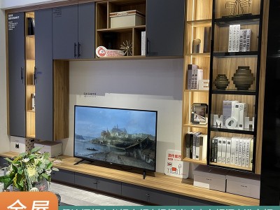 现代轻奢衣柜门衣帽间全屋定制 北欧背景墙玻璃门书房储物组合柜图1