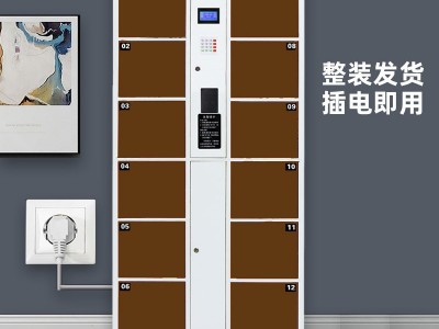 超市存包柜商场指纹条码刷卡扫码智能人脸手机寄存放柜电子储物柜图4
