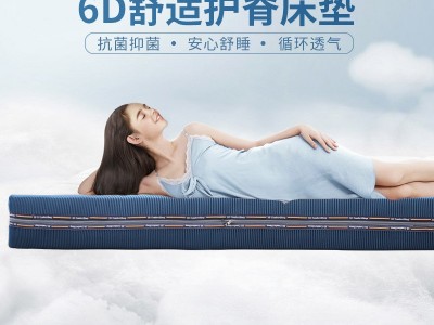 安然6d床垫厂家直销全3D床垫可拆水洗全纤维护脊4D床垫批发代工