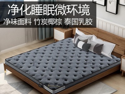 棕榈天然椰棕垫床垫家用软硬1.8m1.5米乳胶折叠榻榻米儿童床垫图2