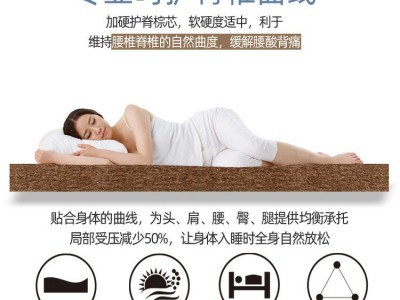 折叠床垫棕垫榻榻米椰棕1.2m床垫1.5米棕榈家用软硬两用乳胶床垫图2