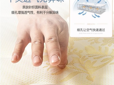 折叠床垫棕垫榻榻米椰棕1.2m床垫1.5米棕榈家用软硬两用乳胶床垫图4