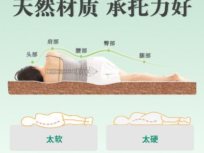 厂家3E椰棕床垫酒店民宿学生宿舍组合1.2/1.5棕垫折叠护脊可定图2