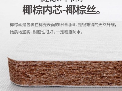 厂家3E椰棕床垫酒店民宿学生宿舍组合1.2/1.5棕垫折叠护脊可定图4