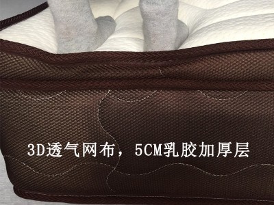 乳胶弹簧床垫席梦思独立袋装静音星级酒店家用床1.8米3E椰棕垫1.5图5