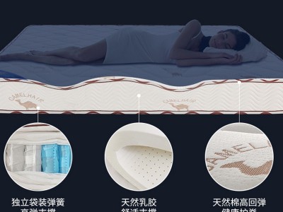 1.5米床垫民宿家用弹簧床垫 宾馆酒店床垫棕垫双人席梦思弹簧床垫图2