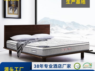 记忆棉海绵床垫席梦思床垫名宿家用五星级酒店厂家直销定制床垫图3