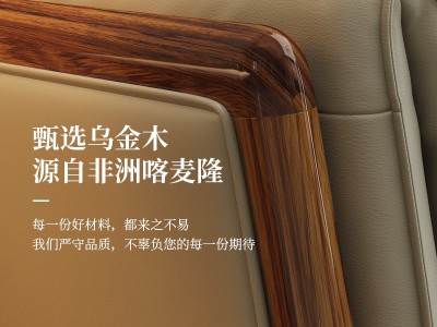 现代简约真皮沙发头层牛皮进回乌金木意式轻奢三人位北欧客厅家具图3