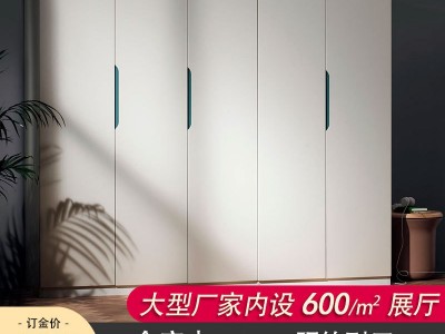 长沙全屋现代简约家具衣柜橱柜酒柜鞋柜卧室衣柜代理批发工厂直销图3