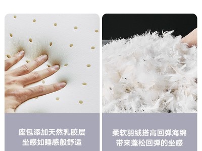 布艺沙发北欧轻奢乳胶座包羽绒小户型客厅设计师三人科技布沙发图3