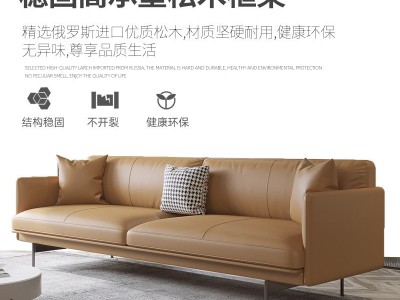 北欧真皮轻奢小户型客厅家具现代简约网红ins三人皮艺沙发科技皮图2