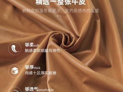 北欧真皮轻奢小户型客厅家具现代简约网红ins三人皮艺沙发科技皮图3