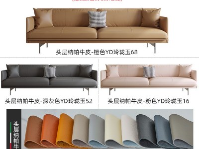 北欧真皮轻奢小户型客厅家具现代简约网红ins三人皮艺沙发科技皮图4