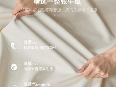 北欧简约现代真皮轻奢1.5米双人床公主风ins网红1.8米主卧软包床图3