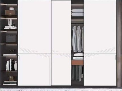 衣柜推拉门极简现代玻璃家用移门滑门卧室整体组合大衣橱绍兴厂家图2