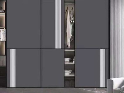 衣柜推拉门极简现代玻璃家用移门滑门卧室整体组合大衣橱绍兴厂家图3