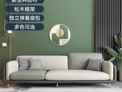 免洗科技布艺沙发小户型ins网红款意式极简轻奢客厅三人四人乳胶图1