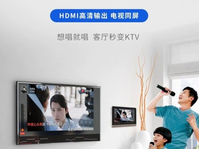7寸屏语音声控彩屏主机 背景音乐系统 蓝牙直连WIFI功放智能家居图2