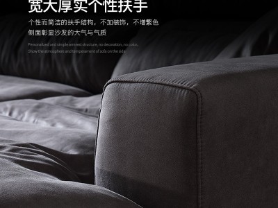 科技布羽绒沙发现代简约免洗乳胶沙发意式极简小户型北欧布艺沙发图4