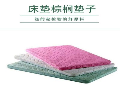 现货直供床垫棕榈垫子学生宿舍出租屋酒店双人单人床棕垫卧室家具图2