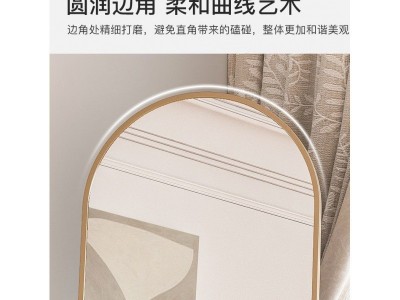全身落地鏡身镜家用女生卧室ins风挂奢壁挂贴墙立体试衣穿衣镜子图4