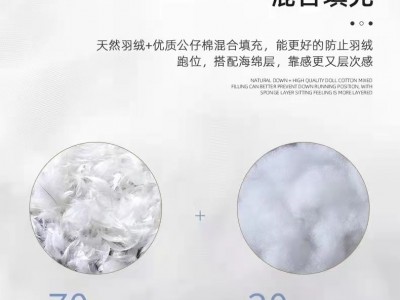意式baxter云朵沙发设计师科技布全磨砂真皮羽绒沙发客厅组合家具图3