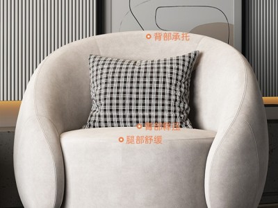 轻奢休闲椅设计师椅北欧短绒懒人沙发椅客厅极简老虎椅旋转单人椅图2