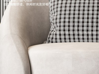 轻奢休闲椅设计师椅北欧短绒懒人沙发椅客厅极简老虎椅旋转单人椅图3