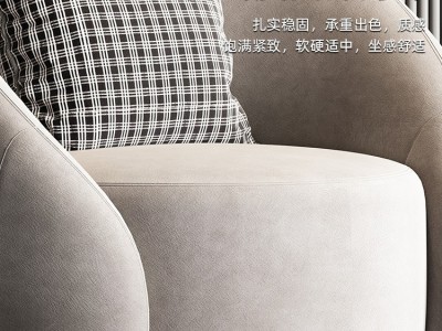 轻奢休闲椅设计师椅北欧短绒懒人沙发椅客厅极简老虎椅旋转单人椅图4