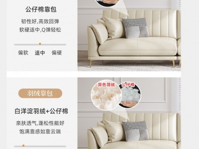侘寂风北欧轻奢科技布皮沙发客厅小户型现代简约白色乳胶布艺沙发图4