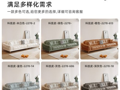 包邮 北欧简约现代客厅小户型轻奢真皮沙发羽绒懒人Baxte云朵沙发图4