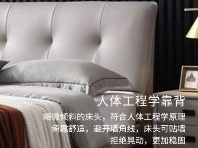 厂家直销现代简约真皮床小户型现代极简纳帕真皮软床主次卧皮床图2