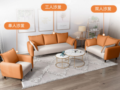 小户型客厅沙发简约现代双人两三人卧室服装店公寓出租房北欧沙发图2