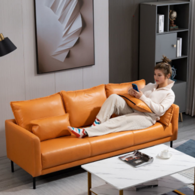北欧小户型科技布小沙发双人三人客厅现代简约免洗服装店公寓网红