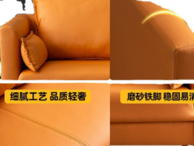 公寓沙发小户型简约科技布皮艺轻奢客厅三人位服装店双人跨境电商图3