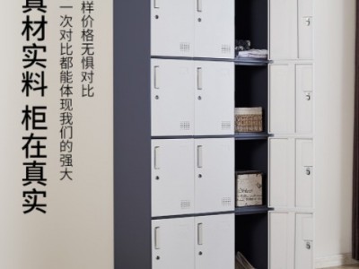 纯白色窄边拆装铁皮更衣柜员工储物柜黑色柜子带锁灰白咖白色套色图2