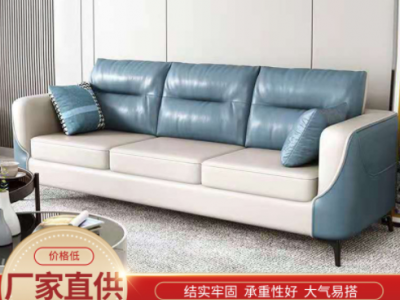 沙发客厅组合简约双人科技布沙发租房家用小户型可拆洗懒人沙发图1