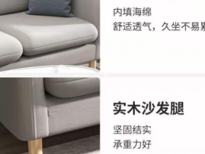 布艺沙发客厅小户型网红款北欧现代简约小沙发双人简易科技布沙发图2