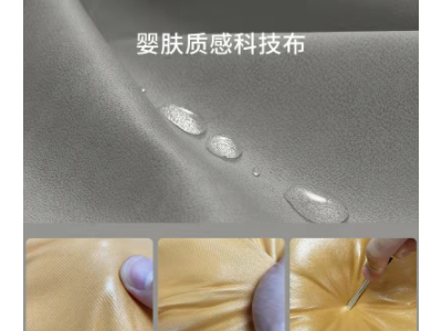 加工定制布艺沙发现代简约小户型简易客厅卧室乳胶科技布双人沙发图2