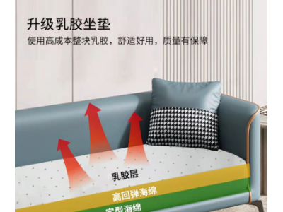 加工定制布艺沙发现代简约小户型简易客厅卧室乳胶科技布双人沙发图3