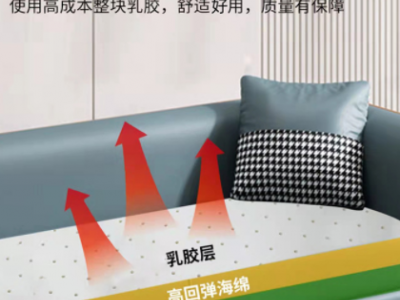 新款简约布艺沙发乳胶科技布沙发客厅小户型轻奢休闲弹簧透气沙发图2