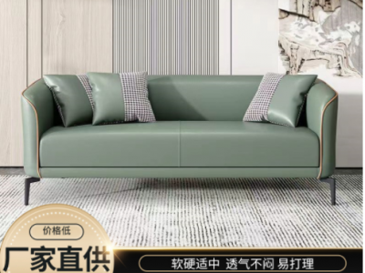 新款简约布艺沙发乳胶科技布沙发客厅小户型轻奢休闲弹簧透气沙发