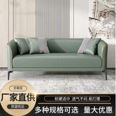 新款简约布艺沙发乳胶科技布沙发客厅小户型轻奢休闲弹簧透气沙发