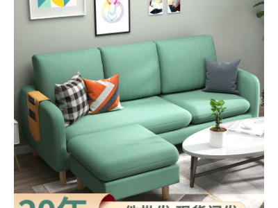加工定制布艺沙发现代简约双人家具小户型沙发北欧懒人组合沙发