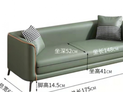布艺沙发现代简约小户型简易客厅卧室乳胶科技布双人商务接待沙发图3