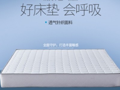 椰棕床垫棕垫硬棕榈软硬棕垫1.5 1.8m成人儿童床垫经济型床垫图3
