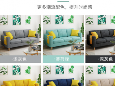 布艺沙发小户客厅服装店餐厅现代简约出租房用三人经济型网红沙发图2