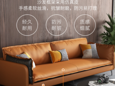 科技布沙发小户型意式轻奢现代简约款客厅公寓酒店免洗网红款沙发
