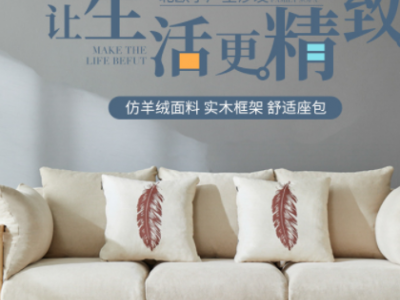 日式沙发组合原木风小户型客厅单双三人位布艺简约租房现代批发图2