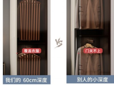 一门到顶衣柜实木多层板现代简约卧室意式极简网红储物柜通顶衣橱图3